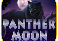 Night Beauty: Ketahui Lebih Lanjut Mengenai Panther Moon pada Apl Mega888